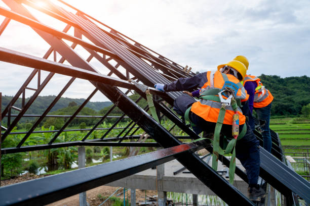 Roof Gutter Cleaning in Louisville, CO
