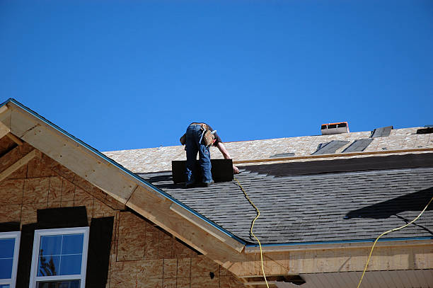 Professional Roofing Contractor in Louisville, CO